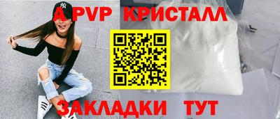 a pvp Кингисепп