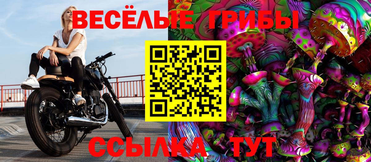 Усть-Лабинск  Псилоцибиновые грибы Psilocybe  наркотики  Вход с VPN 